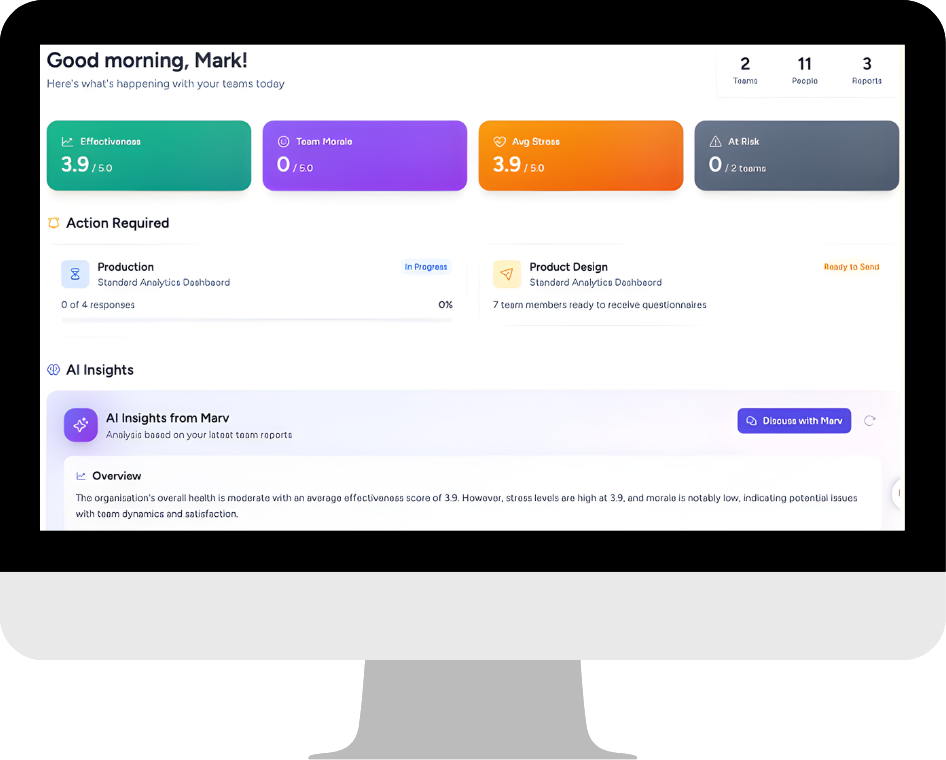 What is a Team Report